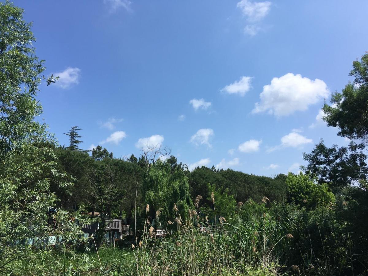 Shila Doert Mevsim Tatil Koyu Hotel Şile Bagian luar foto
